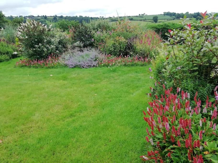 Country Home With Gardens Newtown  Exteriér fotografie